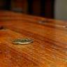 Restored antique wooden table